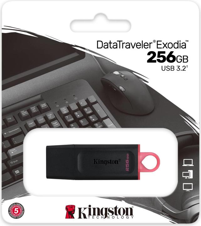 Image du produit Kingston LECTEUR DE MÉMOIRE FLASH USB3.2/256GB DTX/256GB (256 Go, USB 3.0, USB 3.1, USB 3.2)