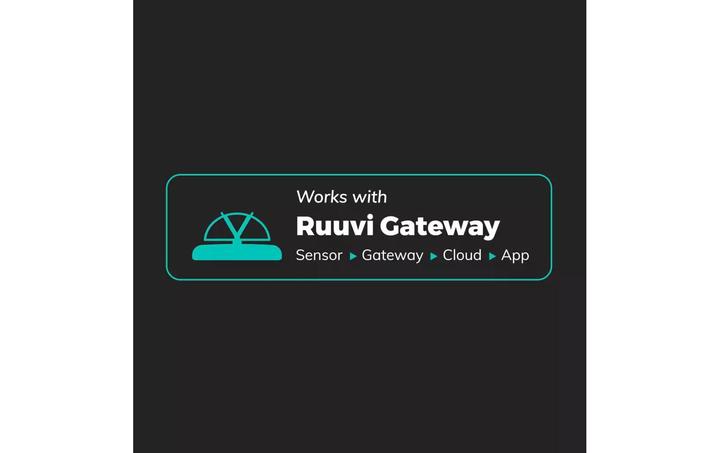 Produktbild Ruuvi RuuviTag Pro Bluetooth Umwelt Sensor 2 in 1 - IP68