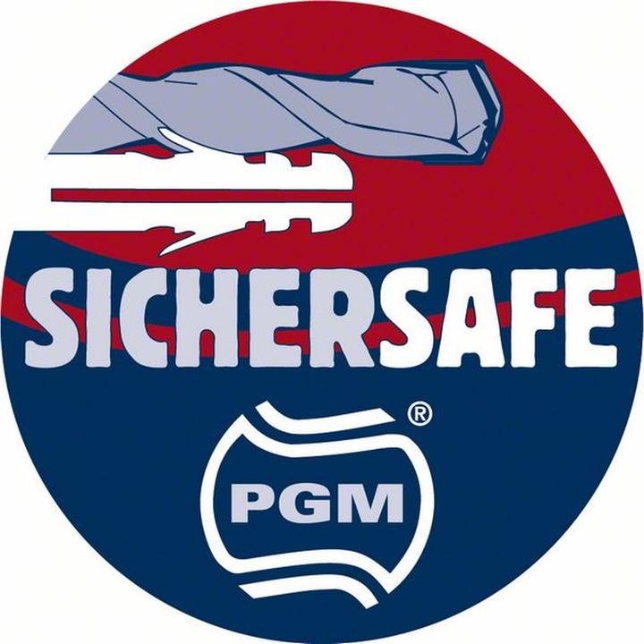 Immagine prodotto Bosch Professional Zubehör Trapano a percussione SDS plus-5, 5 x 100 x 165 mm (5 mm)