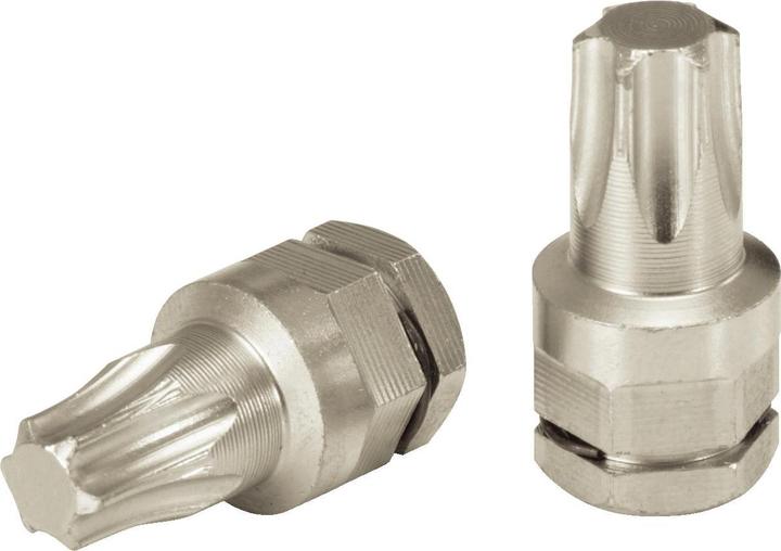 Actual product image KS Tools 503.8173 (T20)