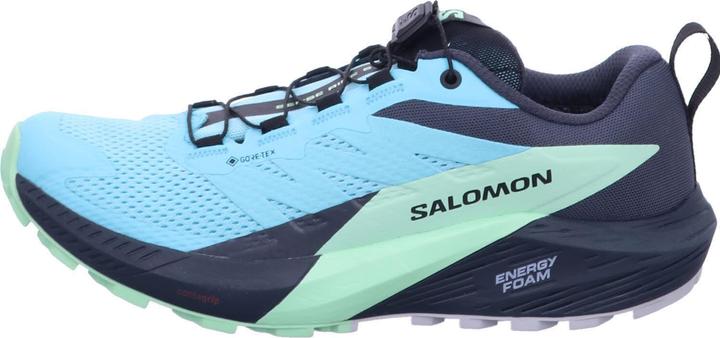 Image du produit Salomon Sense Ride 5 GTX W 472160 40 2/3 (41)