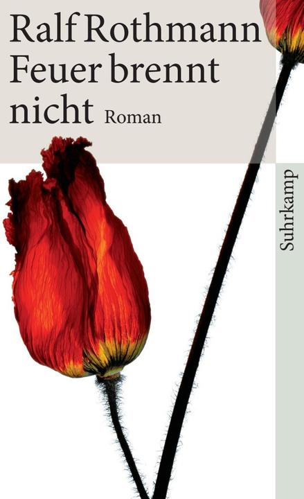 Produktbild Feuer brennt nicht (Deutsch, Ralf Rothmann, 2010)