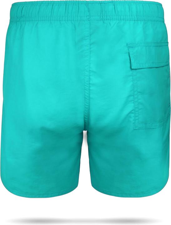 Actual product image Normani Swim shorts Coastline (XL)