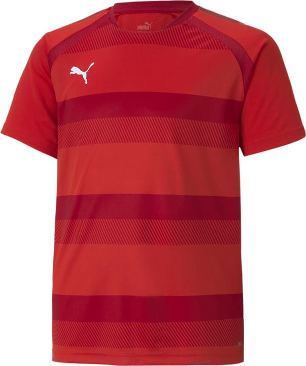 Actual product image Puma teamVISION Jersey Jr-704928 (164)