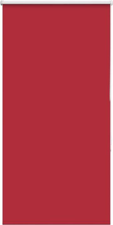 Rot