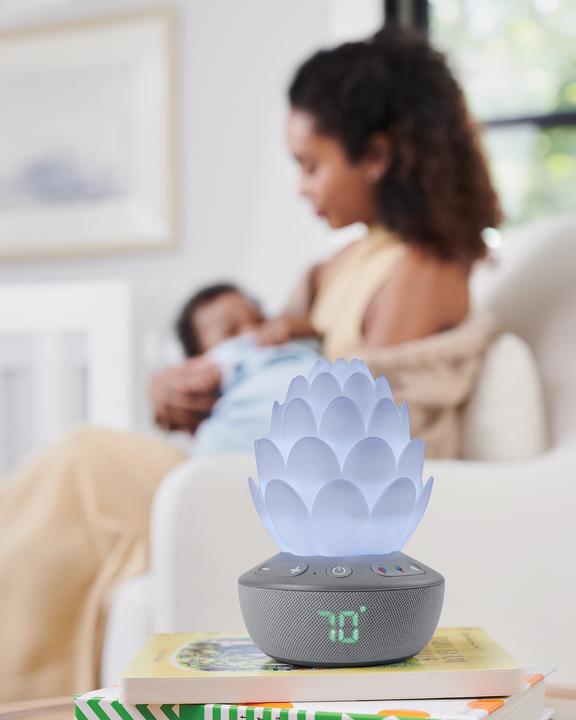 Actual product image Skiphop Succulent night light