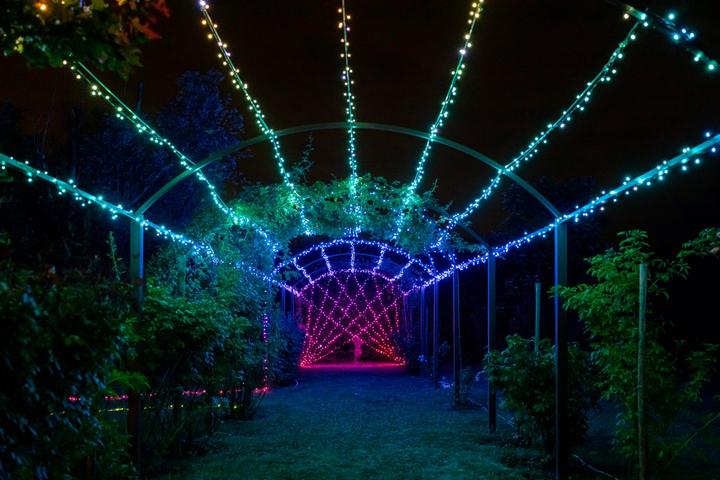Image du produit Twinkly Cordes (32 m)