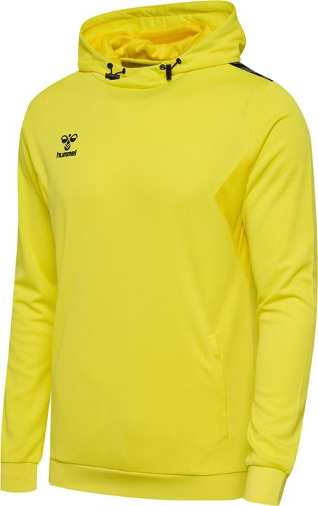 hummel Hmlauthentic Pl Hoodie
