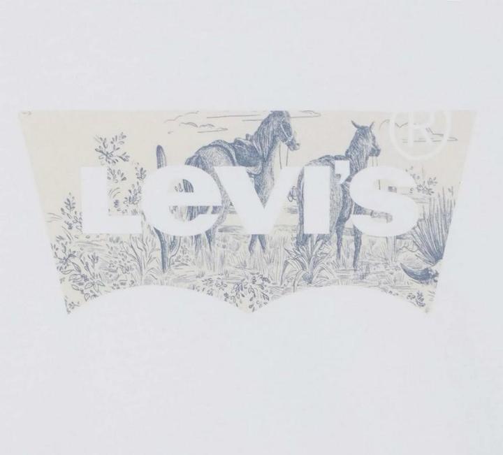 Actual product image Levis Womens/Ladies The Perfect T-Shirt (36 D)