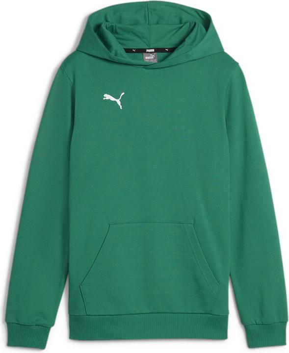 Puma teamGOAL Casuals Hoody Jr