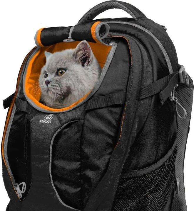 Immagine prodotto Kurgo G-Train K19 (Cane, Traspirante)