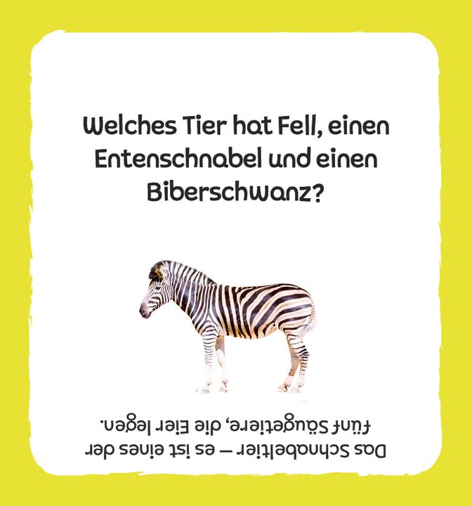 Actual product image Card box: The big quiz - Animals (German)