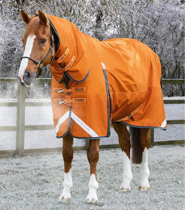 Produktbild Premier Equine Buster Combo 400g (191 cm)