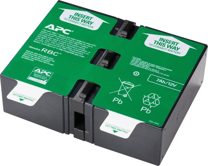 APC Batteria di ricambio n. 123