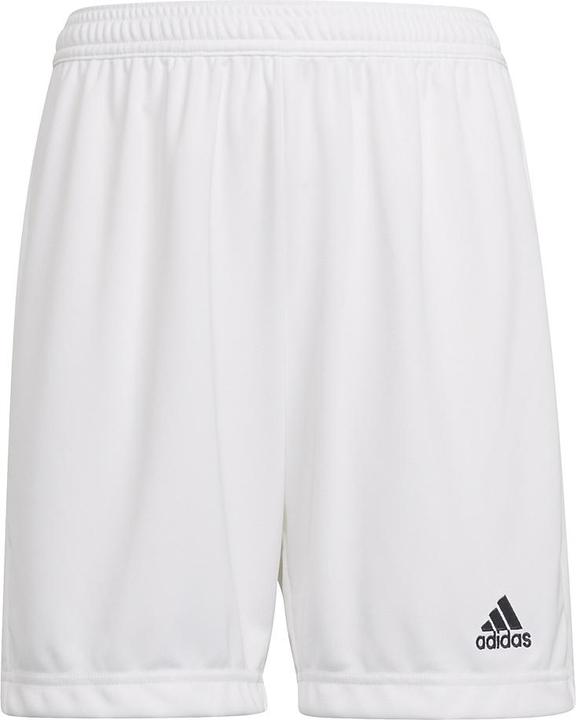 Actual product image adidas Entrada 22 Shorts (140)