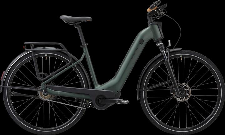 Rockrider Vélo électrique de randonnée 28 pouces E-ACTV 900 boîte automatique entrée basse - vert