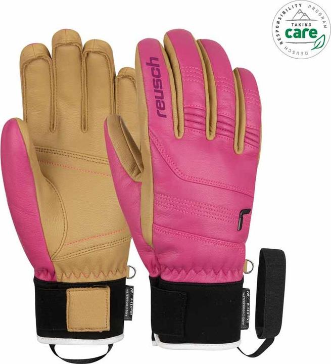Pink, Cammello