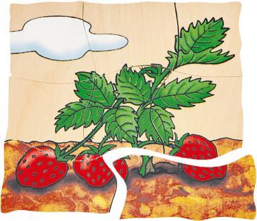 Immagine prodotto Beleduc Fragola (30 pezzi)