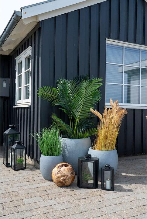 Actual product image House Nordic Areca (175 cm)