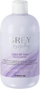 Inebrya Shampoo neutralizing yellow tones of gray and platinum hair Gray By Day (Shampoo) - (300 ml)