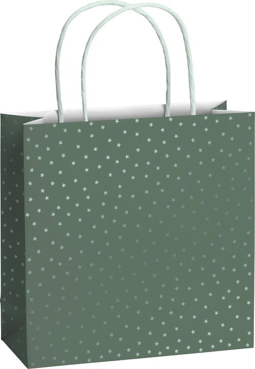 Immagine prodotto Stewo Borsa regalo (Scatola da regalo, 1 x)