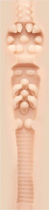 Actual product image Fleshlight Stoya Destroya