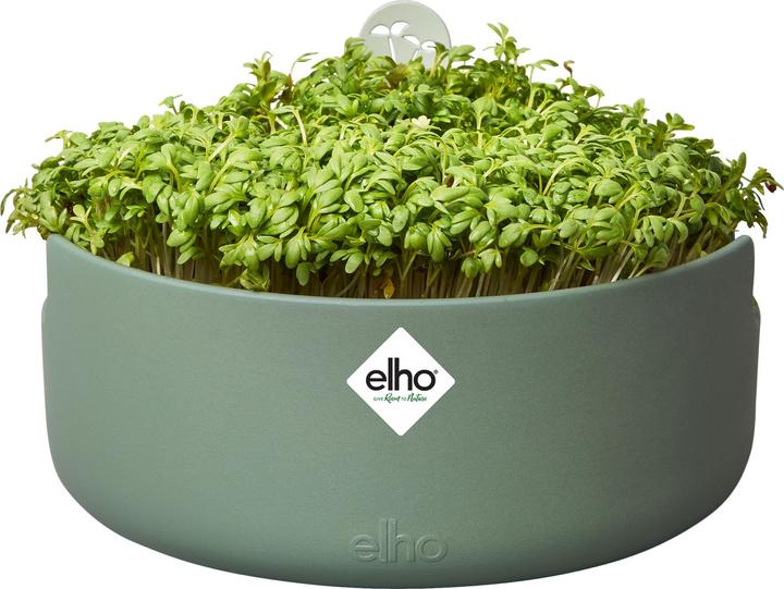 Image du produit Elho Magic Microgreens (16.80 cm)