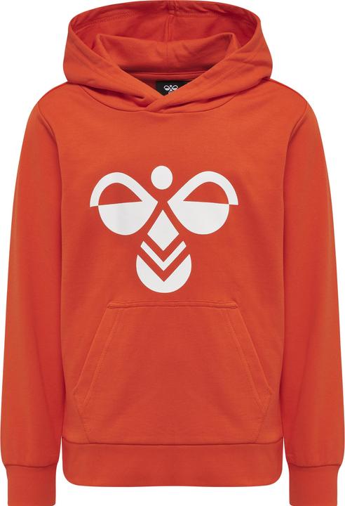 Image du produit hummel Cuatro Hoodie (104)