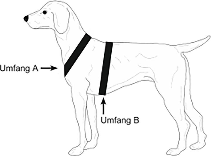 Produktbild Niggeloh Hundeführgeschirr Follow Light (M, Hund, Allgemein)