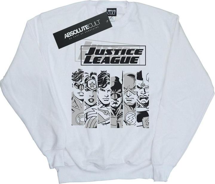 Actual product image Mens Justice League Stripes Sweatshirt (M)