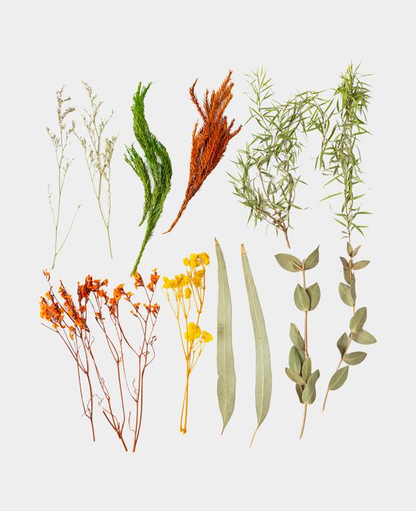 Immagine prodotto I Am Creative Set di fiori secchi (Fiori secchi)
