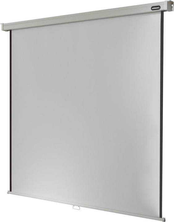 Celexon Manuale professionale - schermo - montaggio a soffitto possibile, adatto al montaggio a parete (64.17", 16:9)