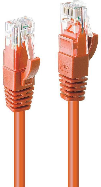 Produktbild Lindy Netzwerkkabel (U/UTP, CAT6, 3 m)