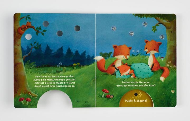 Image du produit Mein Puste-Licht-Buch: Wenn im Dunkeln Sterne funkeln (Allemand, Christina Nömer, 2020)