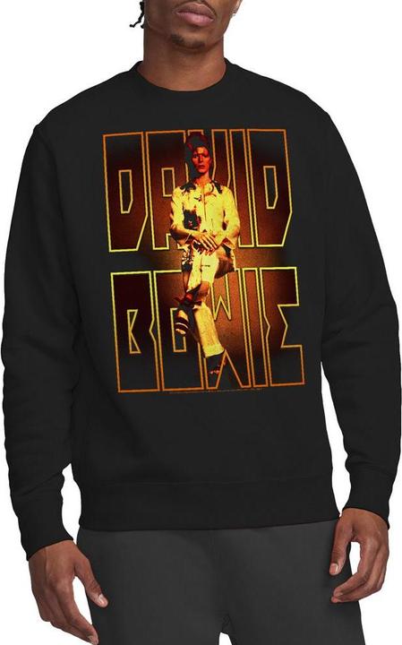 David Bowie Perched Sweatshirt
