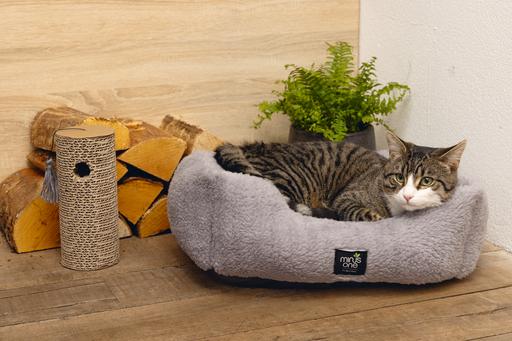 Immagine prodotto Beeztees Meno Un cilindro raschiatore (Catmint giocattolo)