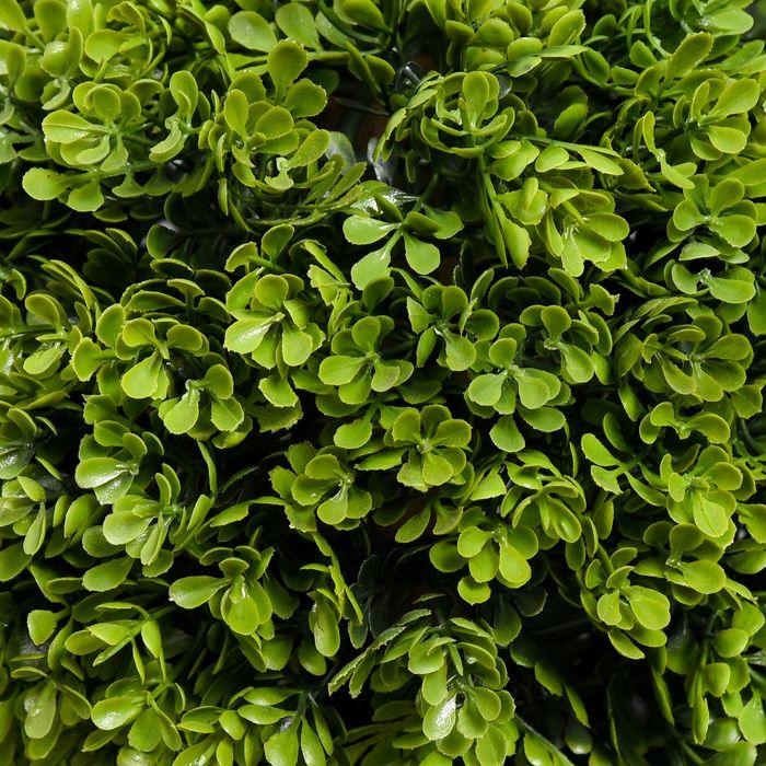 Immagine prodotto Swisshandel24 Pianta artificiale, bosso da 90 cm in vaso da fiori, protezione UV, pianta da appartamento per (90 cm)