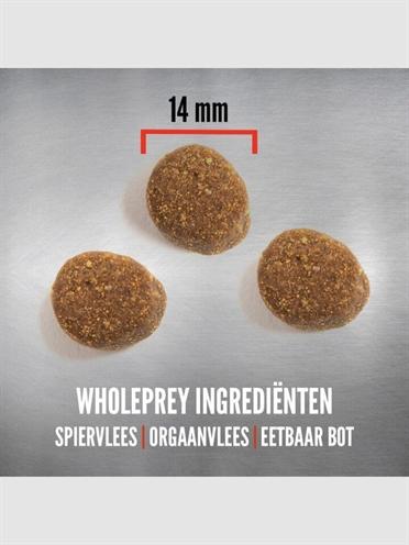 Actual product image Orijen Puppy Large (Junior, 1 pcs., 11400 g)