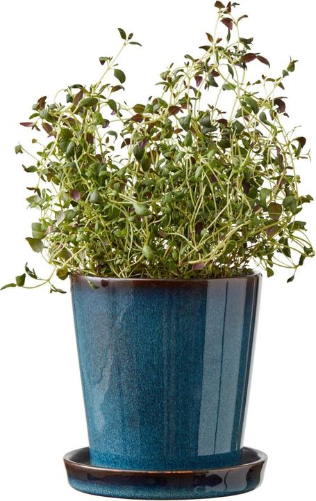 Produktbild Bitz Pflanzengefäss Blau (10 cm)