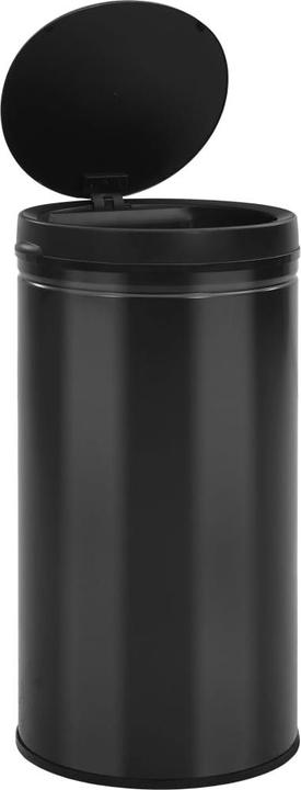 Actual product image VidaXL Iser (60 l)