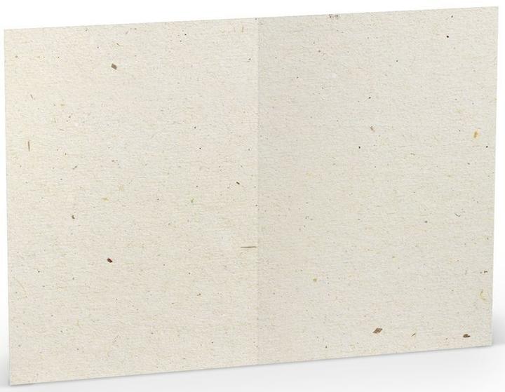 Immagine prodotto Rössler Biglietto da lettera Paperado Terra vanilla (5 pz.)