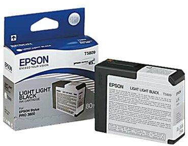 Actual product image Epson T5809 (FC, GY)