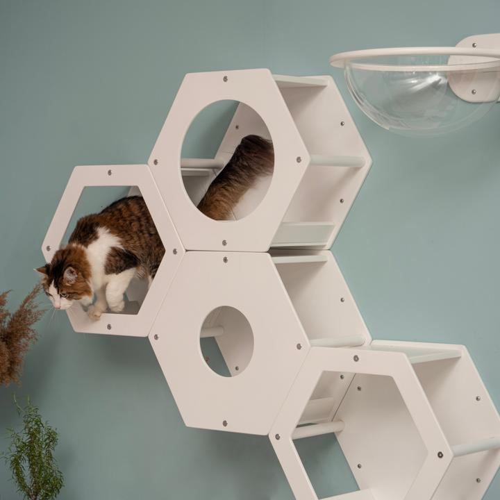 Produktbild Wowhelperco Kletterwand für Katzen 8-teilig (Weiss)