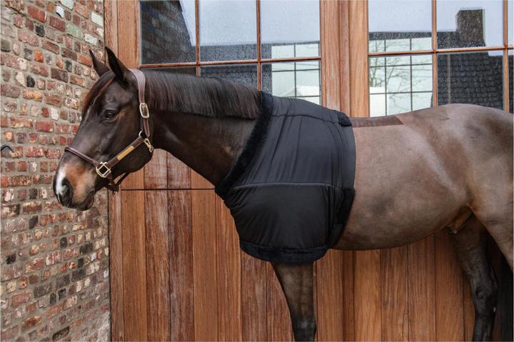 Immagine prodotto Kentucky Horsewear Protezione per il petto
