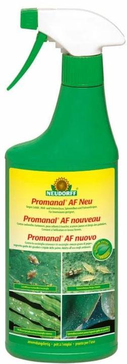 Image du produit Neudorff Promanal AFS Sans cochenille & puceron lanigère (Tétranyque rouge, Thunderbug, Cochenilles)