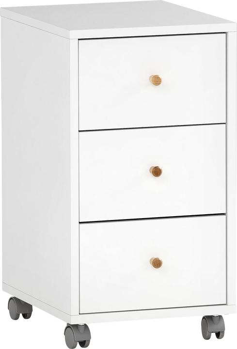 Schildmeyer Serie 500 (32.5 x 39 x 60 cm)