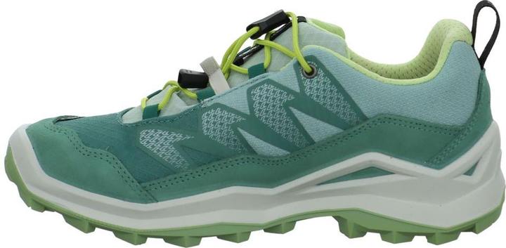 Actual product image Lowa Maddox Pro GTX LO (31)