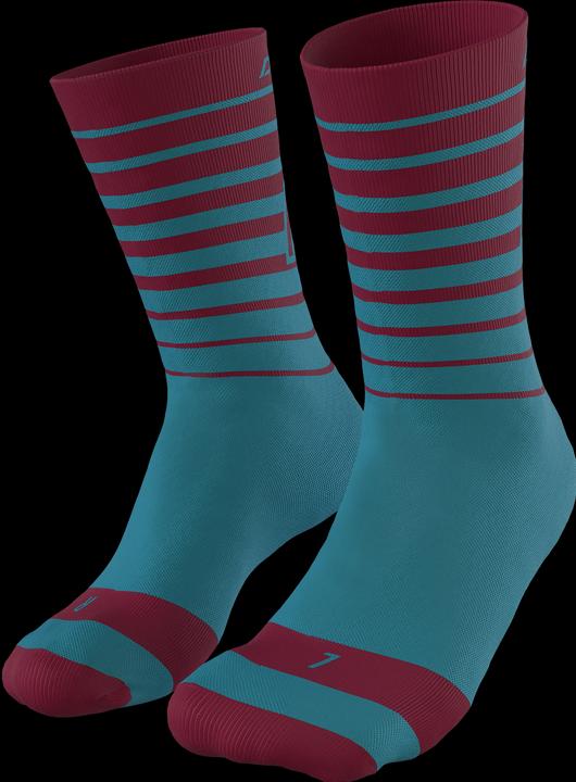 Actual product image Dynafit Live To Ride Socks (43, 44, 45, 46)