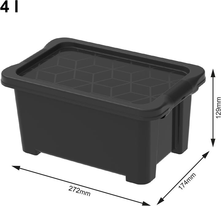 Image du produit Rotho Evo Easy avec couvercle (27 x 17.5 x 13 cm, 4 l)