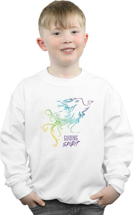 Produktbild Disney Mulan Movie Phoenix Guiding Spirit Sweatshirt Jungen (140, 146)
